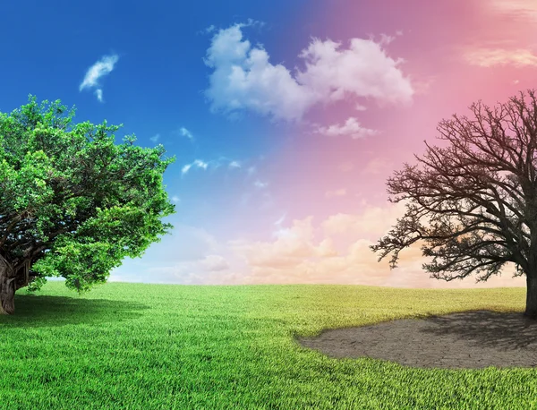 Concept of changes. One side full of grass with a life tree, dif — Stock Photo, Image