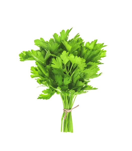 Bunch of parsley isolated on white background — Stock Photo, Image