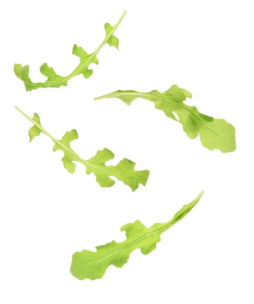 Зеленый лист рукколы, изолированный на белом — стоковое фото