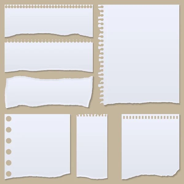 Collection of white torn paper. Vector illustration — Stock Vector