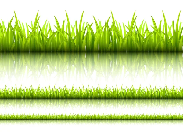 Big Green Grass, Isolated On White Background, Vector Illustrati — Stock Vector