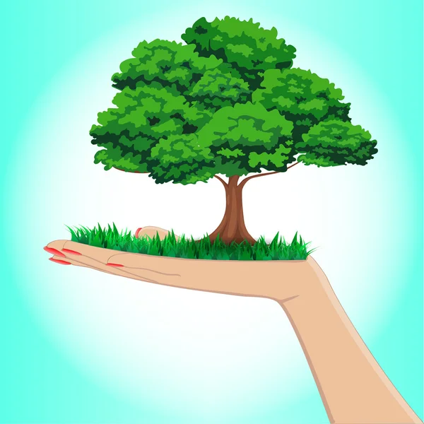 Árbol en mano aislado sobre fondo blanco — Vector de stock