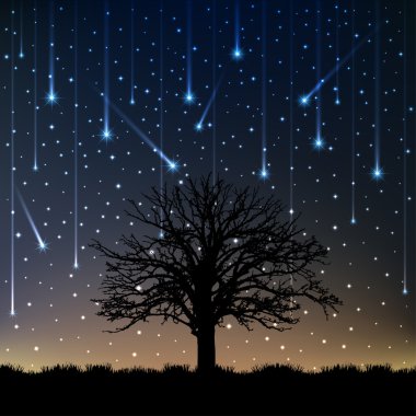 Gece yalnız ağaç düşüyor yıldız