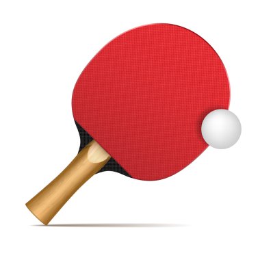 ping pong raket ve topları