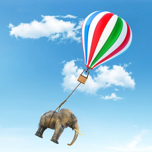 Concept of freedom. Concept of freedom. An elephant being lifted — Stock Photo, Image