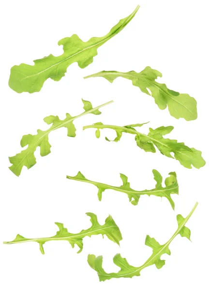 Зелений лист руколи ізольований на білому — стокове фото
