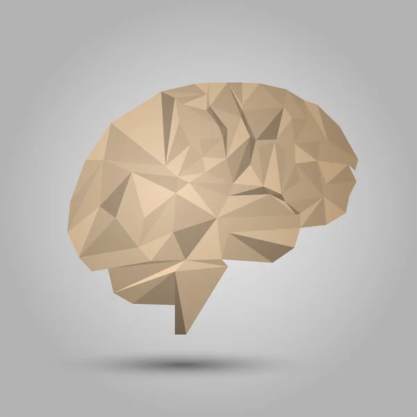 Cerebro humano con un polígono — Vector de stock