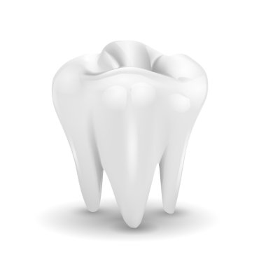 Beyaz bir arka plan üzerinde izole diş