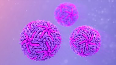 Zika virüs yapısı