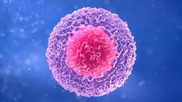 T-림프 구입니다. 화이트 혈액 세포입니다. 림프 구 — 스톡 사진