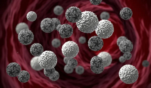 Zika-Virus im Blut, Lymphozyten und Viren zika.3d Abbildung — Stockfoto