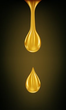 resimde açılan altın vektör çizim