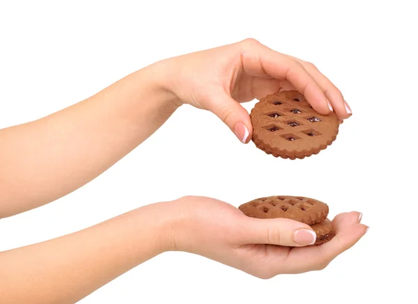 Lebkuchen in Frauenhand auf weißem Hintergrund — Stockfoto