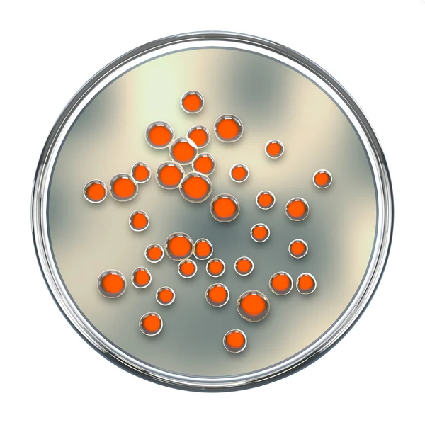 3D illustration, render.Bacteria yellow colonies on petri dish, — Stock Photo, Image