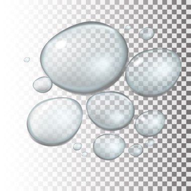 Su saydamlık karıştırma (raster görüntülerde kullanılmak üzere hazır) ile düşer. Vektör çizim.