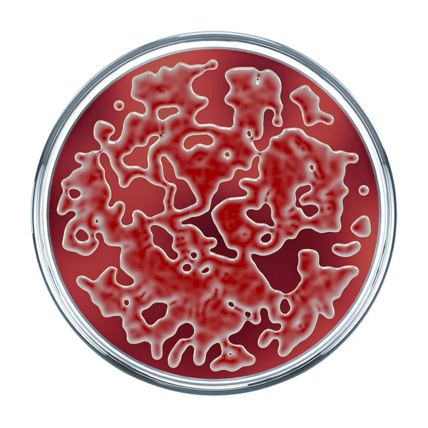 3D Illustration, render.bacteria rote Kolonien auf Petrischale, iso — Stockfoto