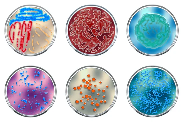 3D çizim render. Koleksiyon bakteri kolonileri petri di üzerinde — Stok fotoğraf