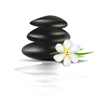 Spa vektör gerçekçi çizim