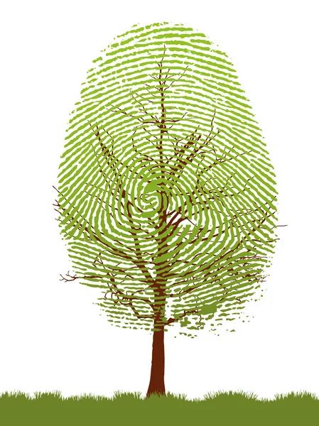 Fingerprint green tree,  isolated on a white background — Stock Vector