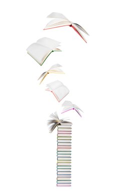 Beyaz arka plan üzerinde izole kitap uçan 