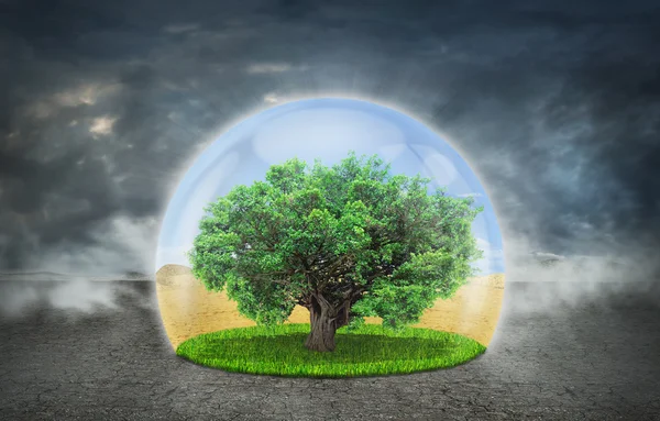 Conceito de vida. A Árvore da Vida na esfera da proteção no th — Fotografia de Stock