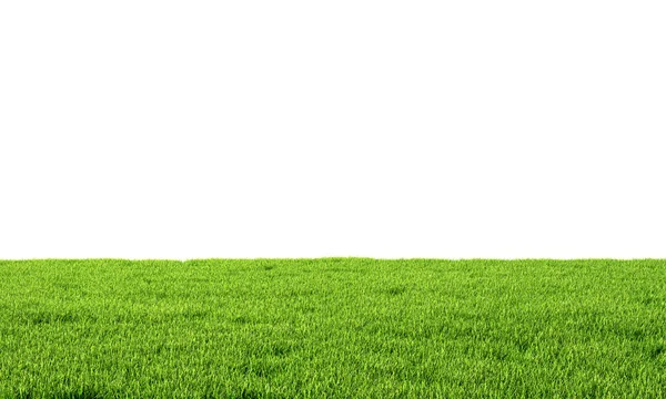 Green grass isolated on white background. 3d illustration — Stock Photo, Image