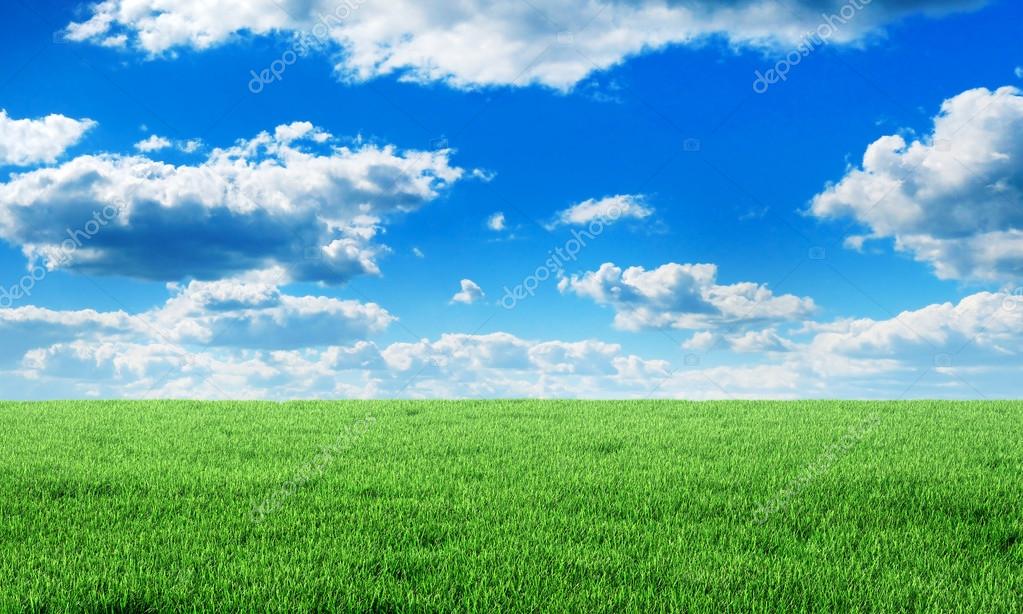 Green field under blue sky with clouds. Beauty wallpaper. Stock Photo by  ©urfingus 122860744
