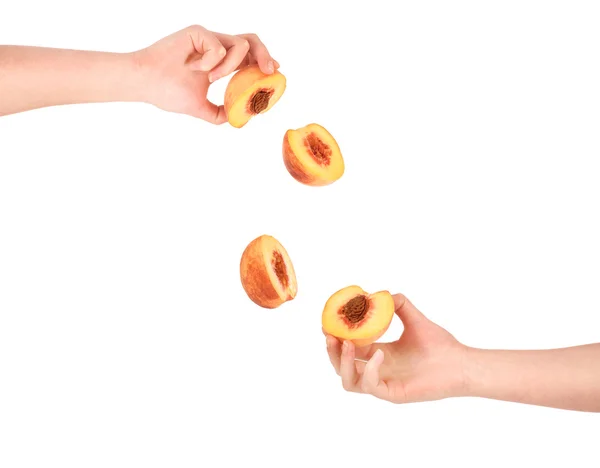 Dois pêssegos cortados em mãos femininas — Fotografia de Stock