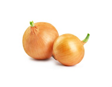 Two sprouted onions on a white background