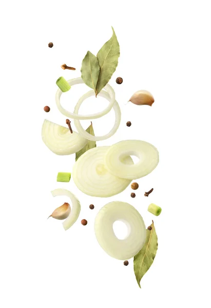 Onion Spices White Background Flight — Stok fotoğraf