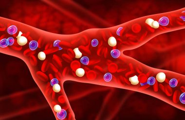 Bloodstream view from the inside. Artery and blood cells. Vector medical concept