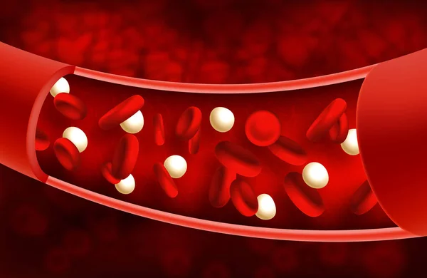 Illustrazione Vettoriale Dei Globuli Rossi All Interno Arteria Vena — Vettoriale Stock