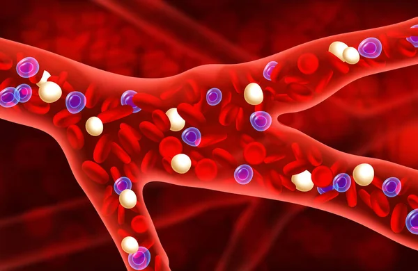 Vista Del Torrente Sanguíneo Desde Interior Arteria Células Sanguíneas Concepto — Archivo Imágenes Vectoriales