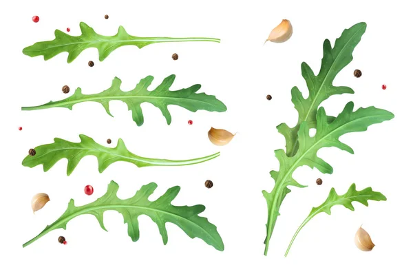 Set Arugula Leaves Ingredient Salad Vector Illustration — Stok Vektör