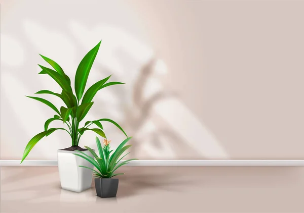 Concept Flowerpots Floor Bright Room Vector Illustration — 图库矢量图片