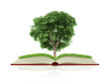 bir kitap doğal çim ve ağaç büyüme ile üzerine beyaz mavi 