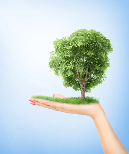 Öko-Konzept. Hand der Natur hält einen großen Baum. — Stockfoto
