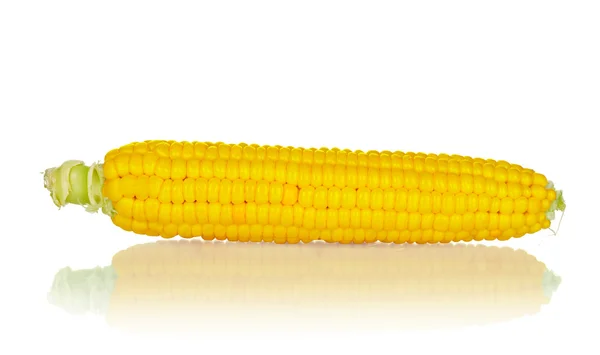 Кукуруза изолирована на белом фоне — стоковое фото