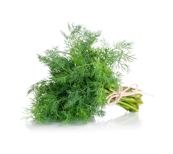 Bunch of fresh dill. Isolated on white background — Stock Photo, Image