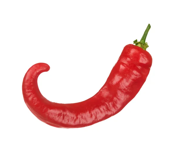 Red hot chili peper op geïsoleerde witte achtergrond — Stockfoto