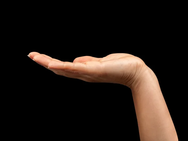 Empty open hand on a black background — Stock Photo, Image