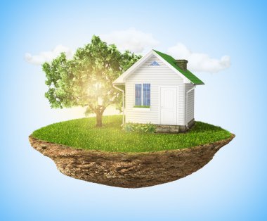 Güzel küçük ada çim ve ağaç ve ev levitating