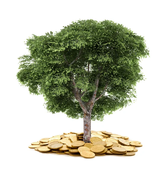 Дерево и монеты, валюта, инвестиции и бизнес-концепции — стоковое фото