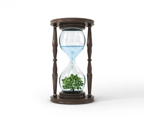 ガラスの時計、白で隔離される中の木の生命プロセス — ストック写真