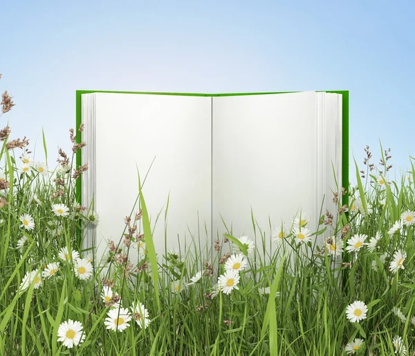 Livro aberto na grama verde — Fotografia de Stock