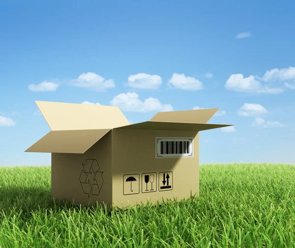 Opened box on green grass. Eco delivery concept. — Stock Photo, Image