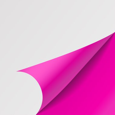 Kağıt köşeleri. Vektör çizim