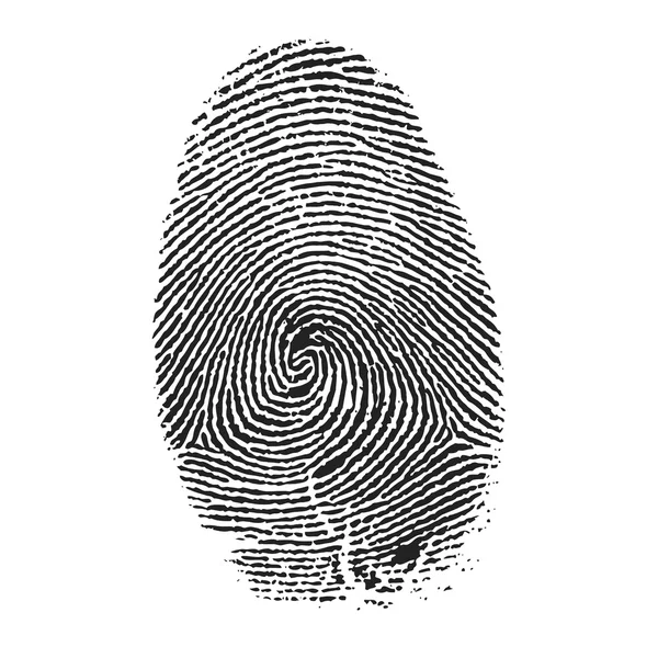 Fingerprint vector — Stock Vector