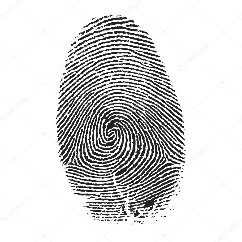 Fingerprint vector