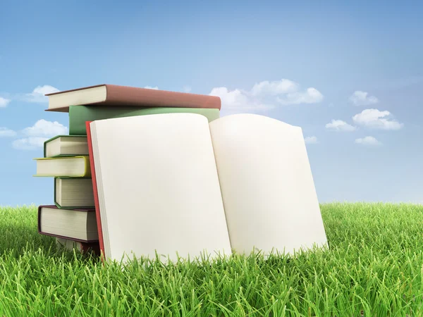 Stos książek i otworzyć książkę na trawie. — Zdjęcie stockowe